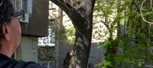 EFIGENIA – THE ABBESS OF AN EMPIRE